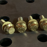 Hardware: Rear Rotor Bolt Kit