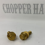 Hardware:  Dash Bolt Kit (Pair)