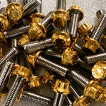 Hardware:  Soft Tail Crash Bar Mounting Bolts